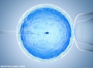 青碧生殖医学中心